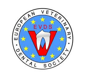 EVDS congress Equus Dental Harmony